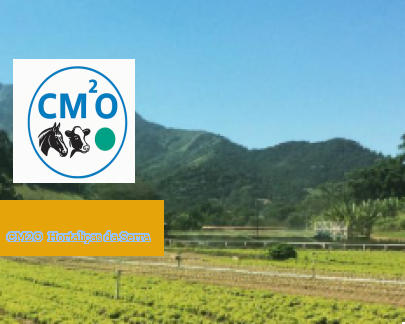 CM2O - Hortaliças da Serra - Teste