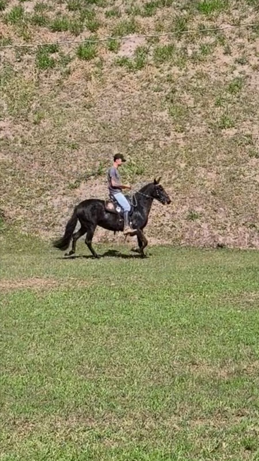 Imagem do anúncio