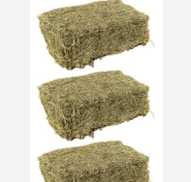 Alfafa Concentrada - imagem 2